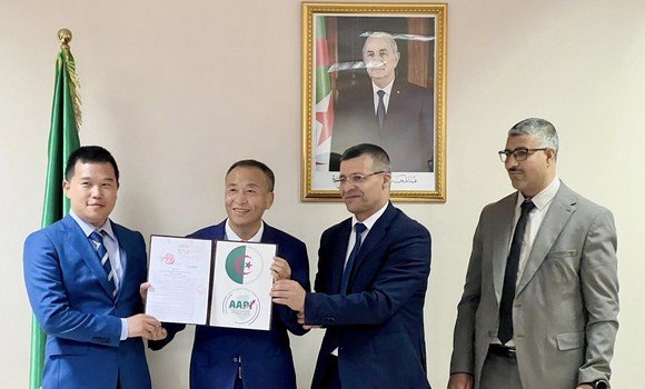 JingDong M'sila.03.06.2025