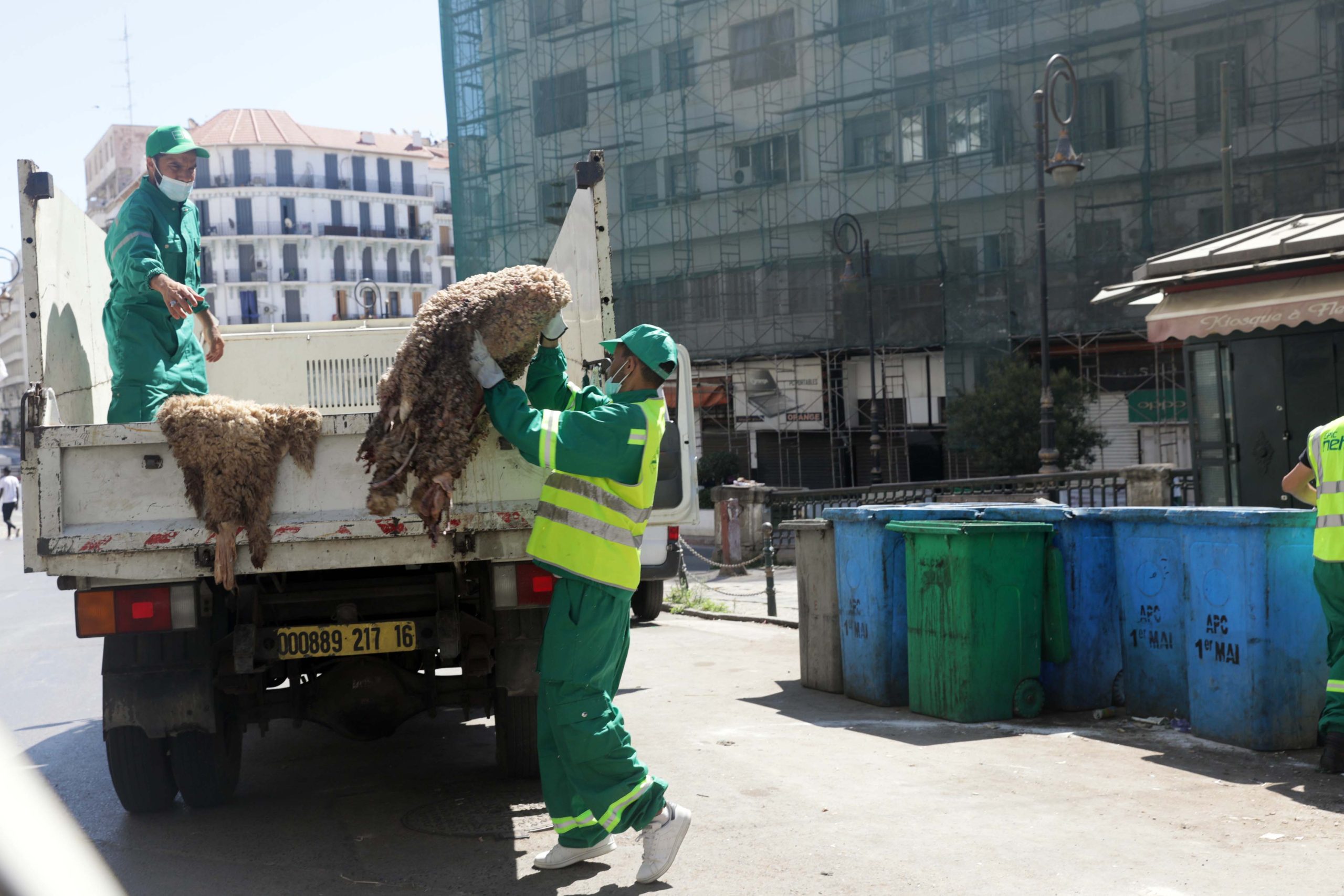 peaux_de_moutons.04.06.2025