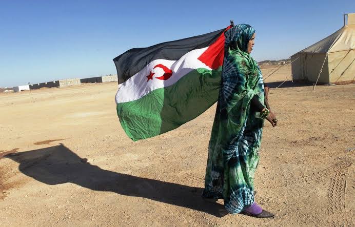 الصحراء الغربية