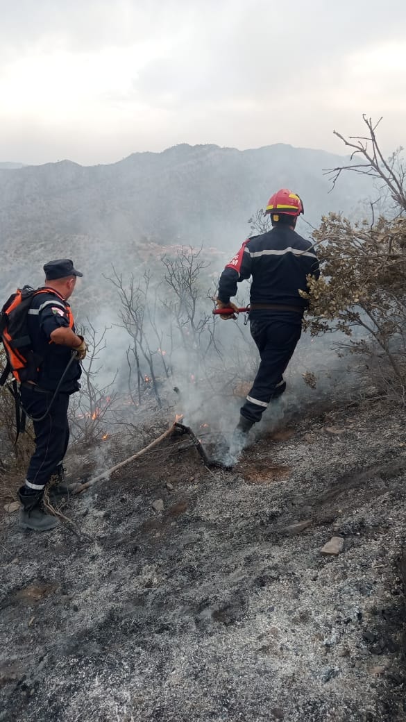 اخماد حرائق الغابات