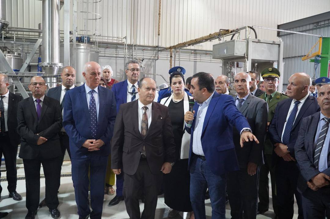 تشغيل: إدماج قرابة 300 امرأة في مجال الصناعة 