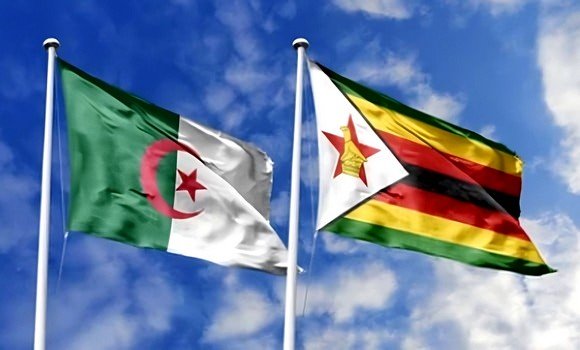 الجزائر زيمبابوي