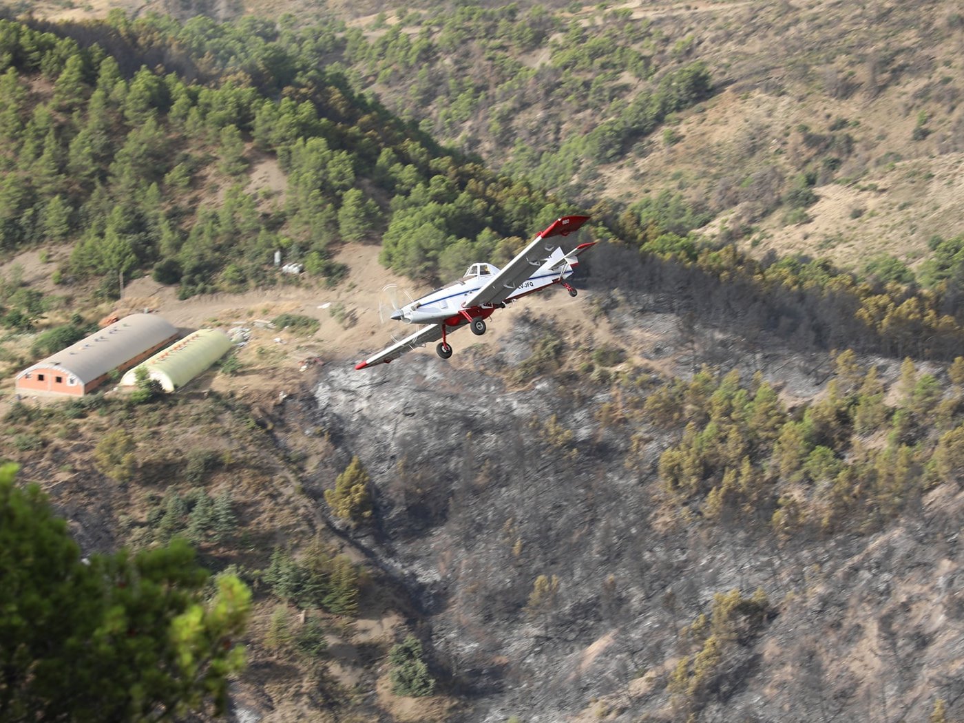 Bordj Bou Arreridj : 10 avions de lutte contre les incendies participent à l’extinction d’un feu dans la commune de Theniet En-Nasr
