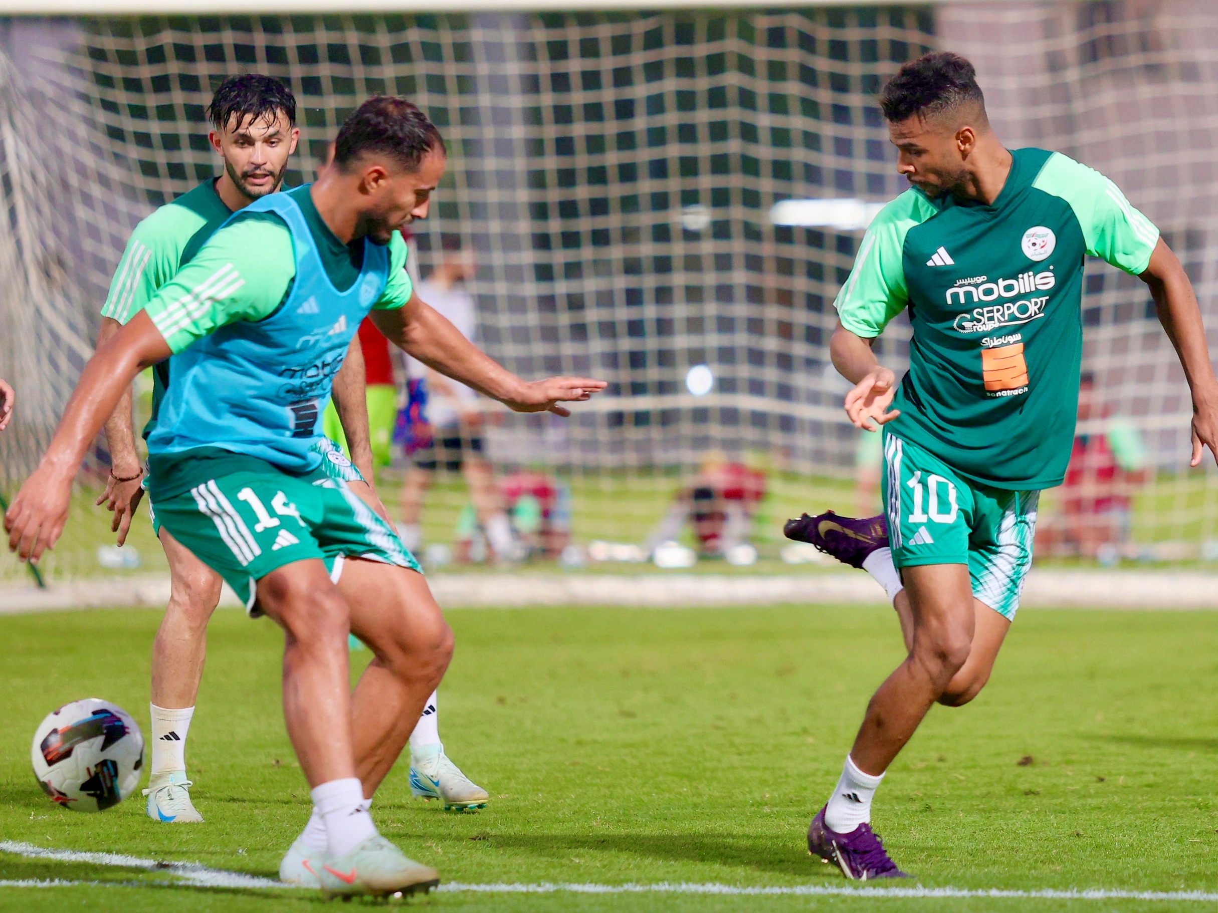 Les protégés de Bouguerra poursuivent leur préparation