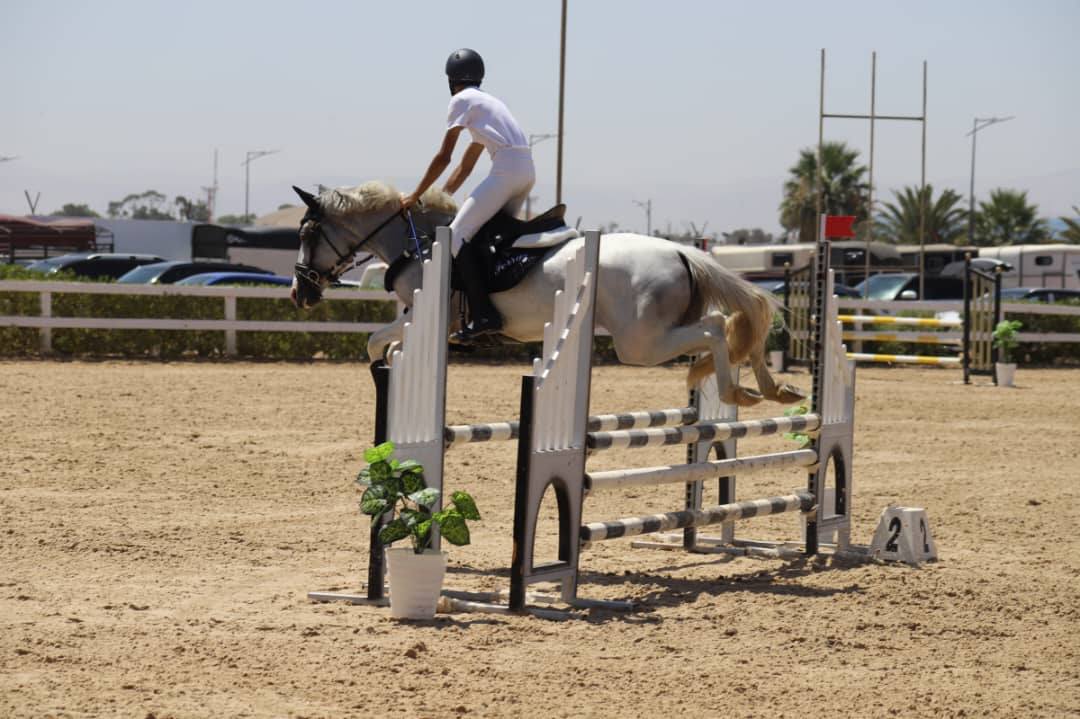 البطولة الوطنية الكبرى للقفز على الحواجز بوهران