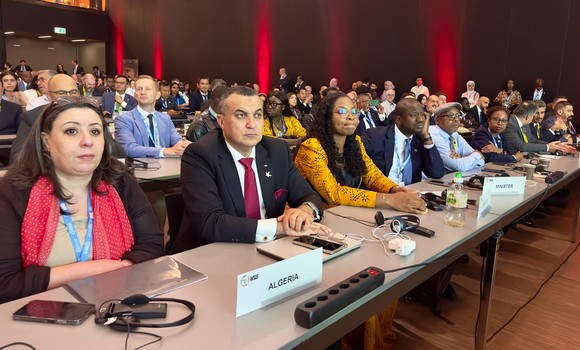 Zerrouki SMSI WSIS 20