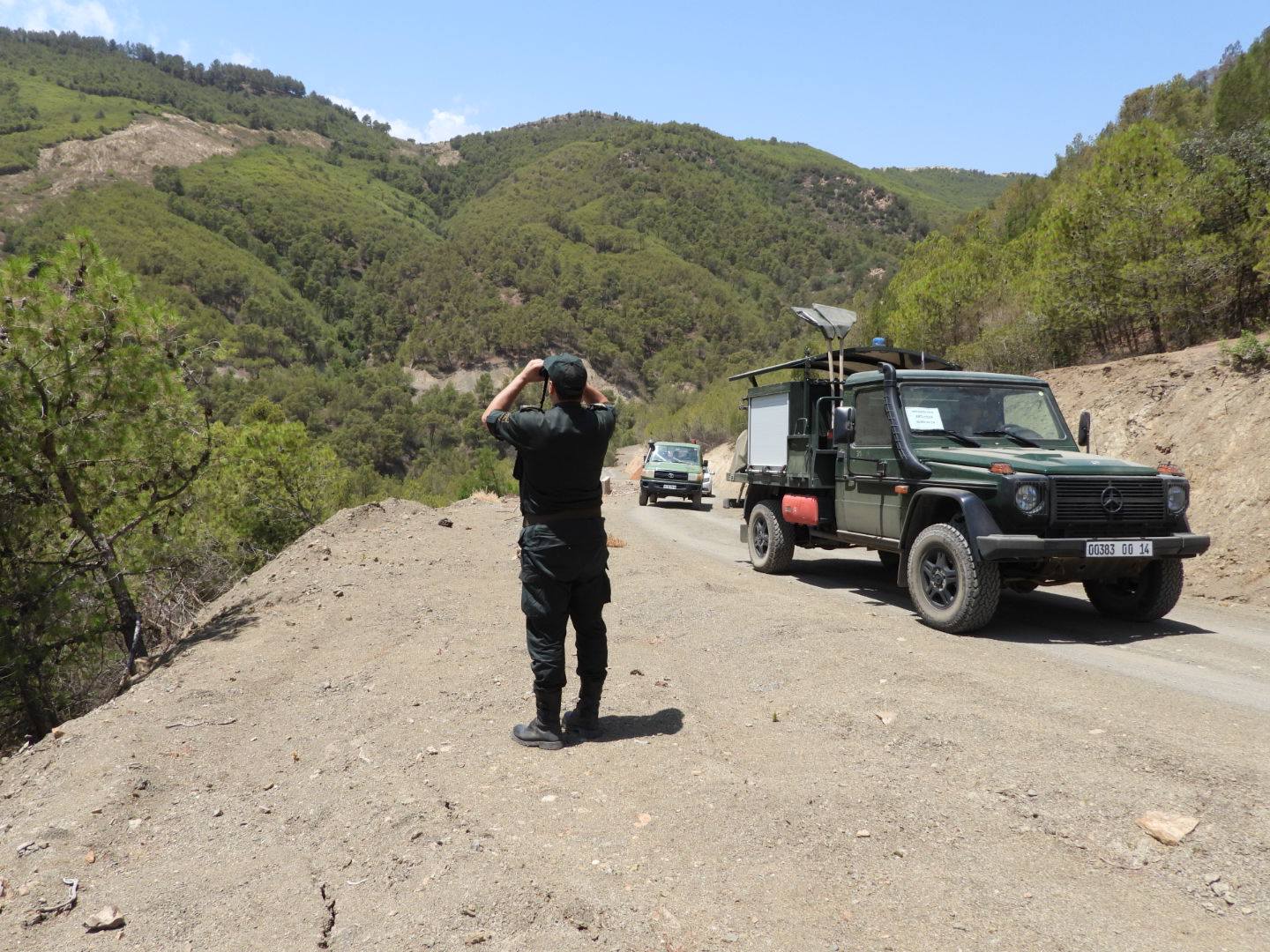 المديرية العامة للغابات