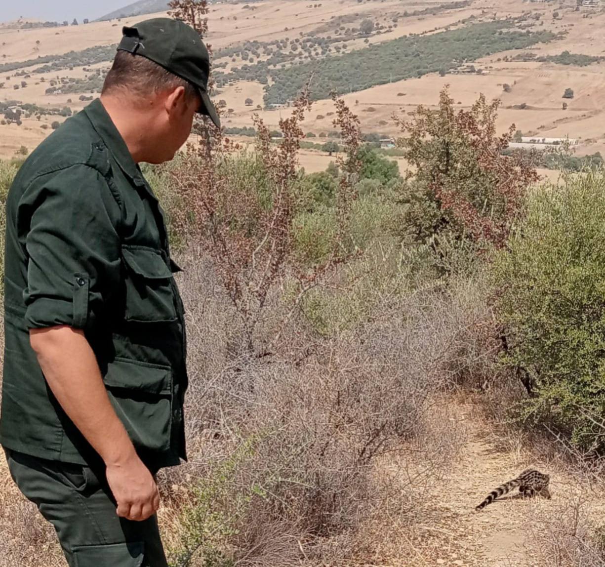 المديرية العامة للغابات