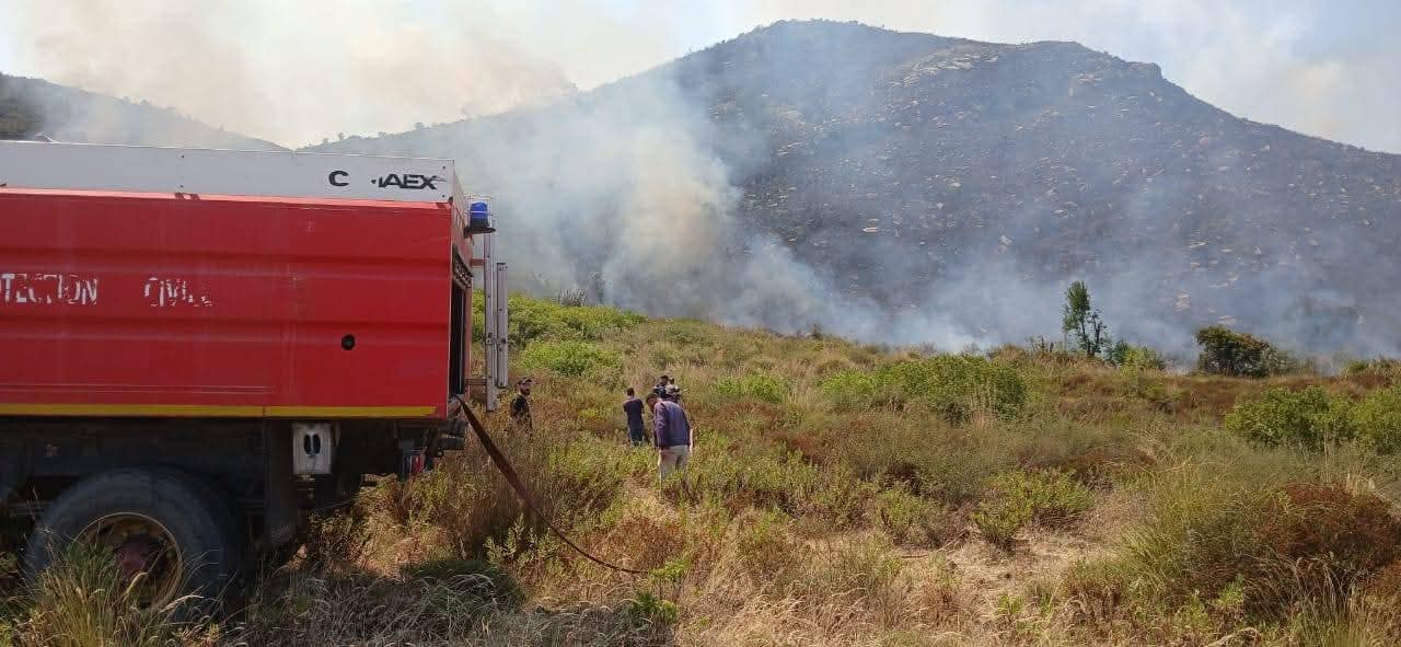 حرائق الغابات