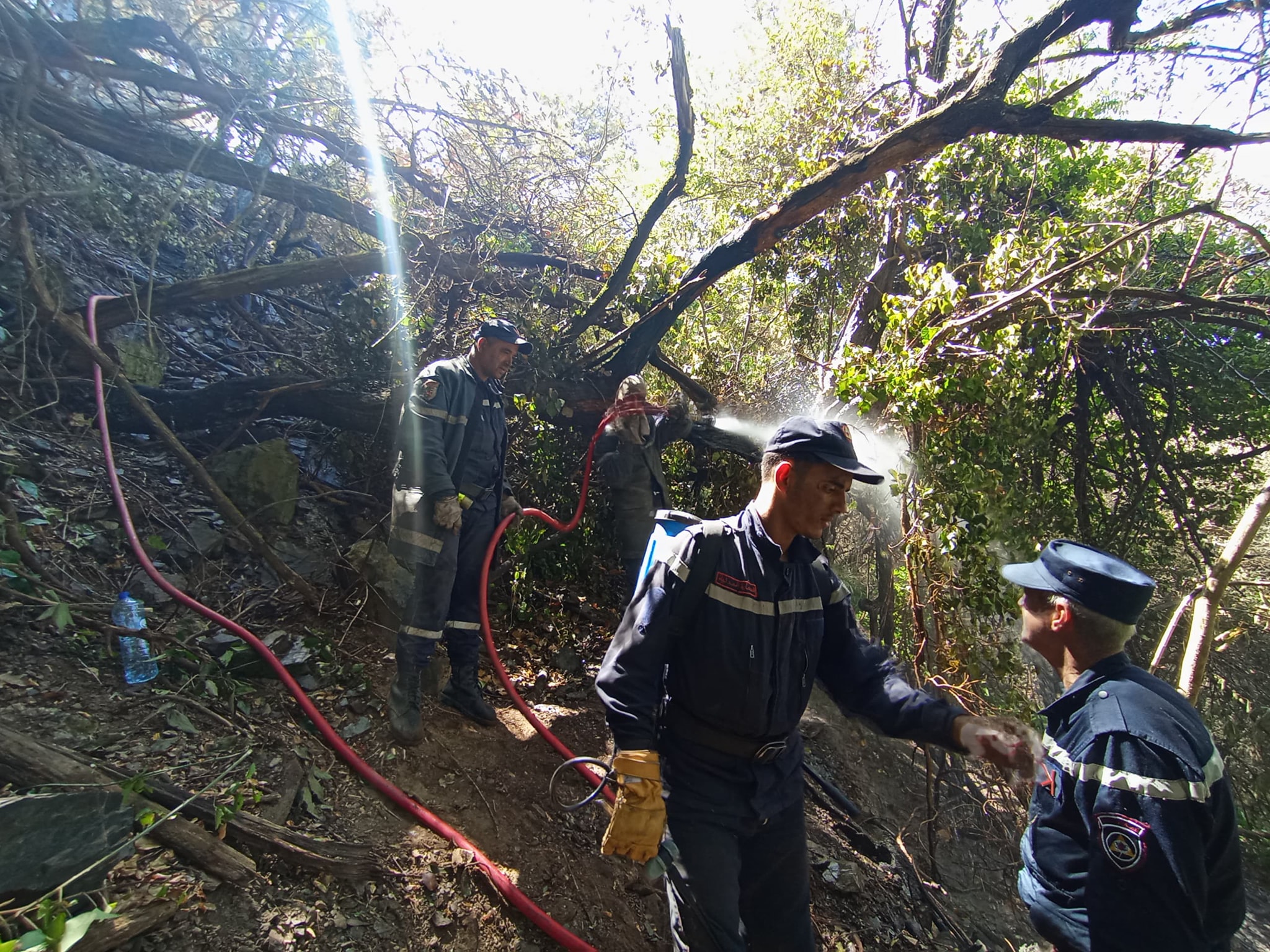 حريق الشريعة البليدة