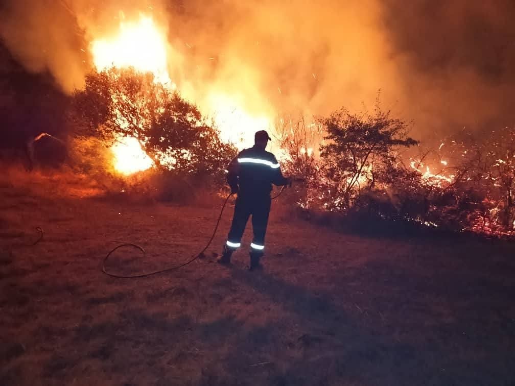 حرائق الغابات