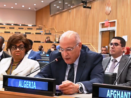 التمثيل العادل للدول  النامية