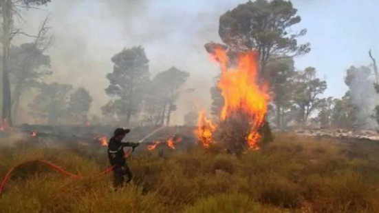incendie-tizi-ouzou.png