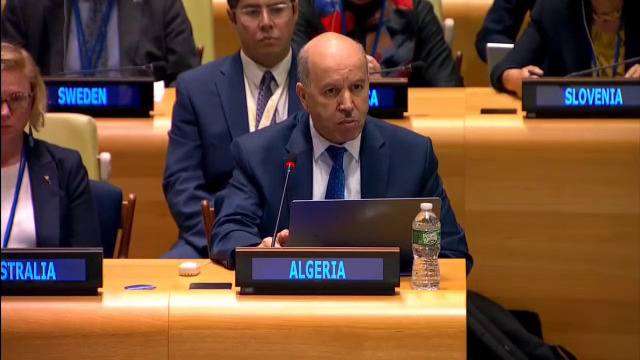 الجزائر تشدد على السلام و الدفاع على القضايا