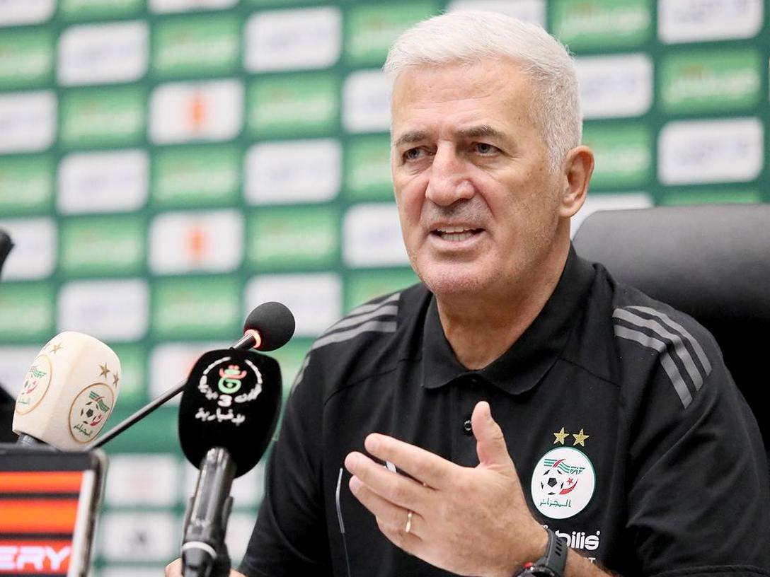 فلاديمير بيتكوفيتش