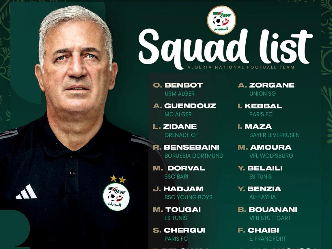 فلاديمير بيتكوفيتش