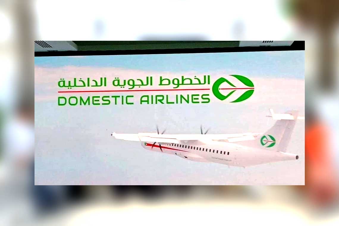 Domestic Airlines