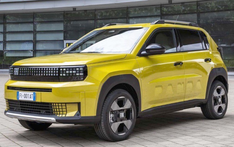 grand panda Algérie