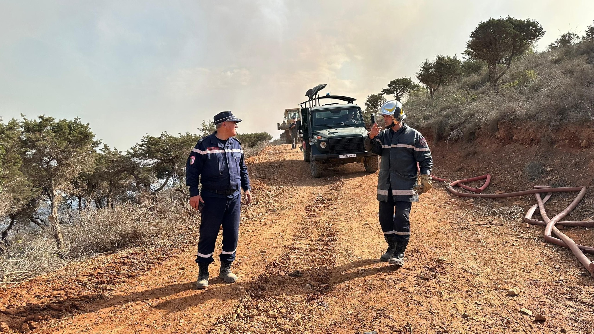 حريق غابة بورحمة مستغانم