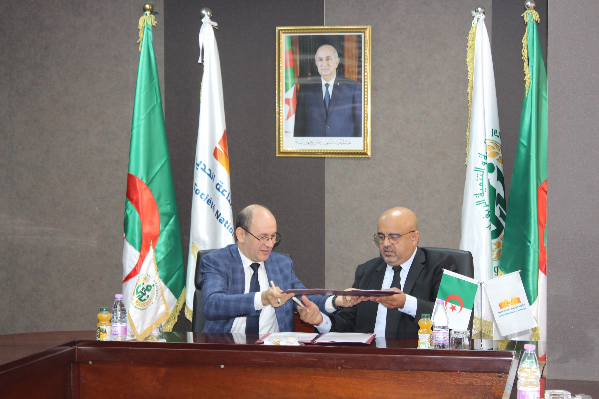 SNS BADR