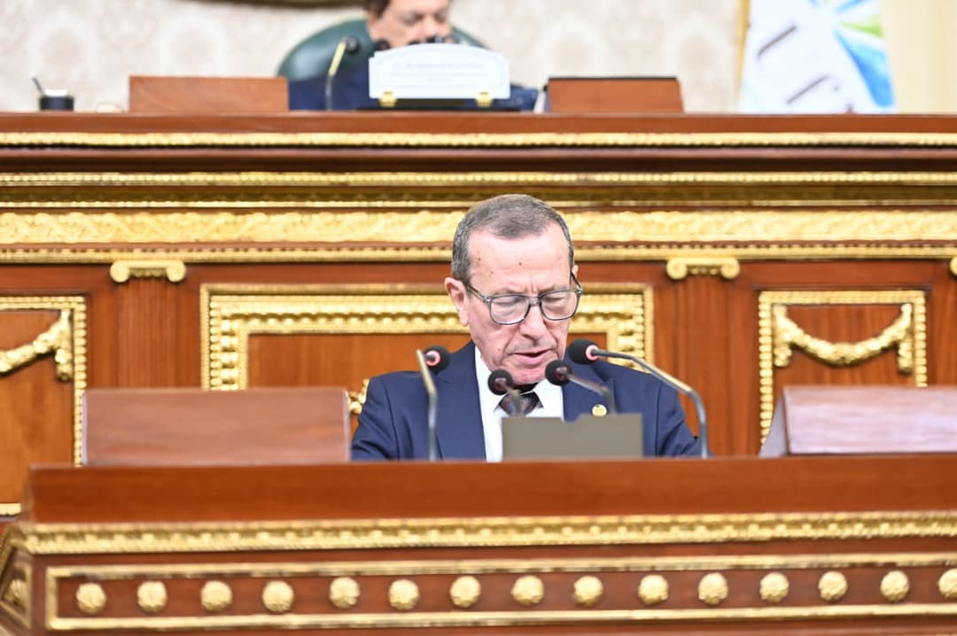 مجلس الأمة: الجزائر تسعى إلى توسيع شراكاتها إلى مجالات أرحب