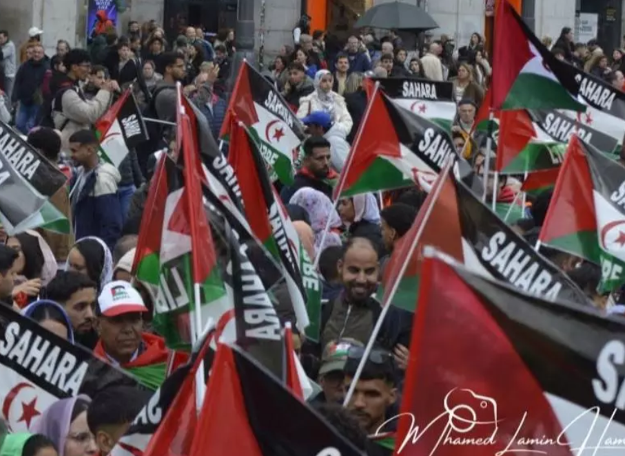 الصحراء الغربية