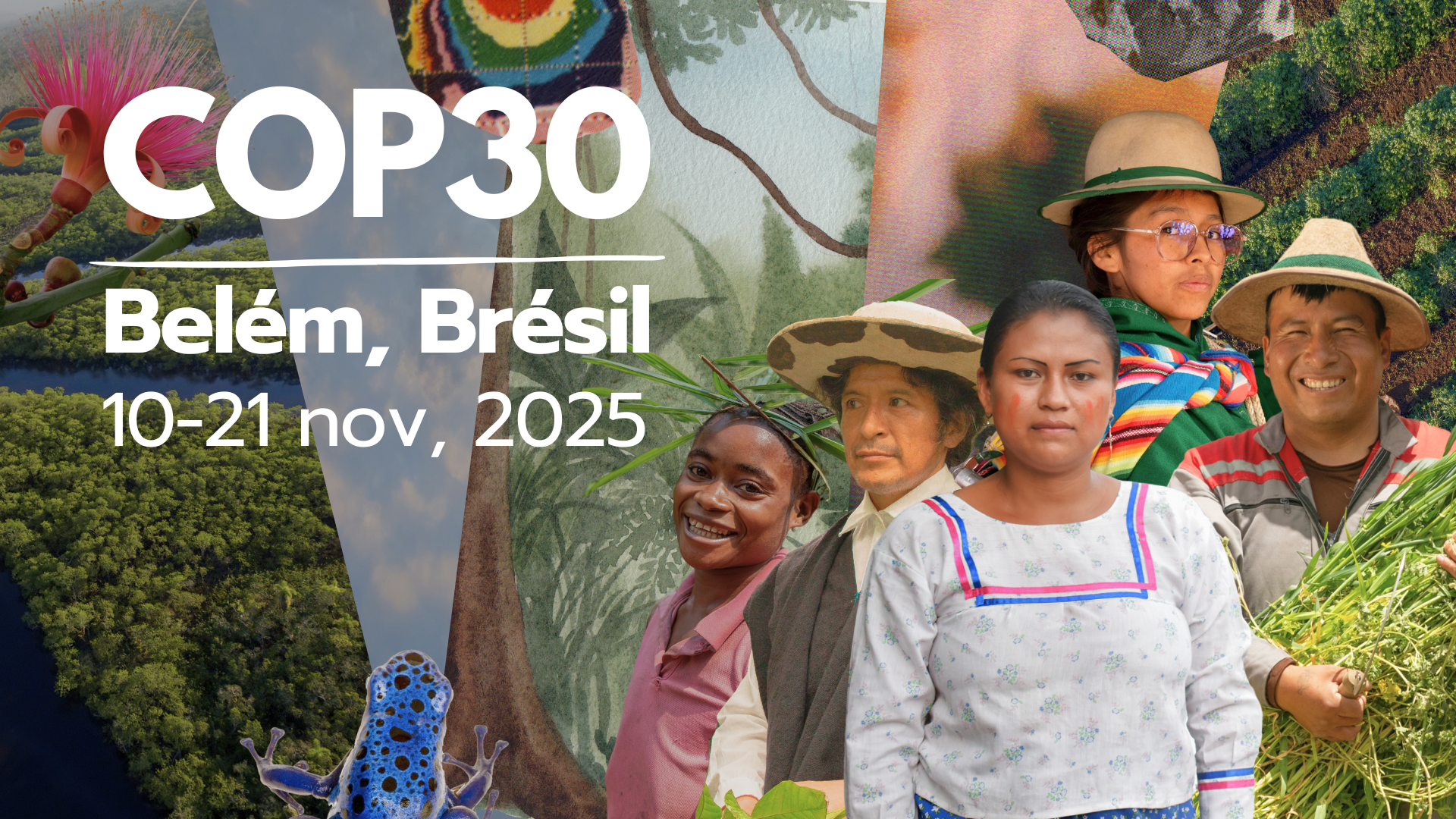 cop30-belem-bresil-06.11.25.png