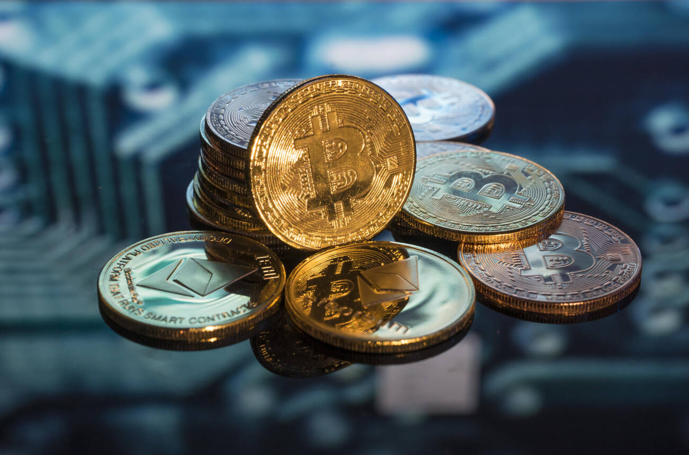 Atelier de formation à Alger sur les cryptomonnaies