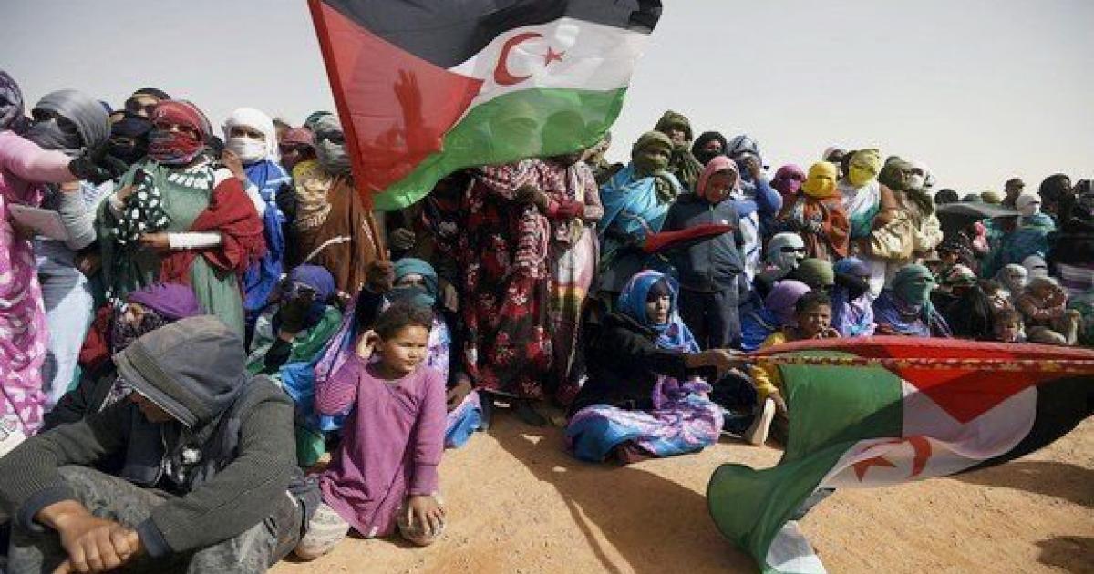 الصحراء الغربية