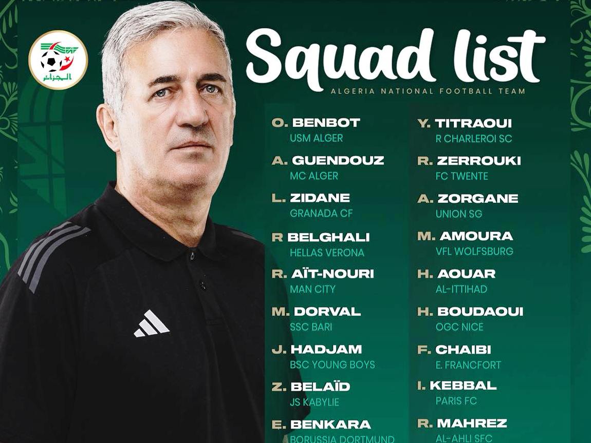 فلاديمير بيتكوفيتش