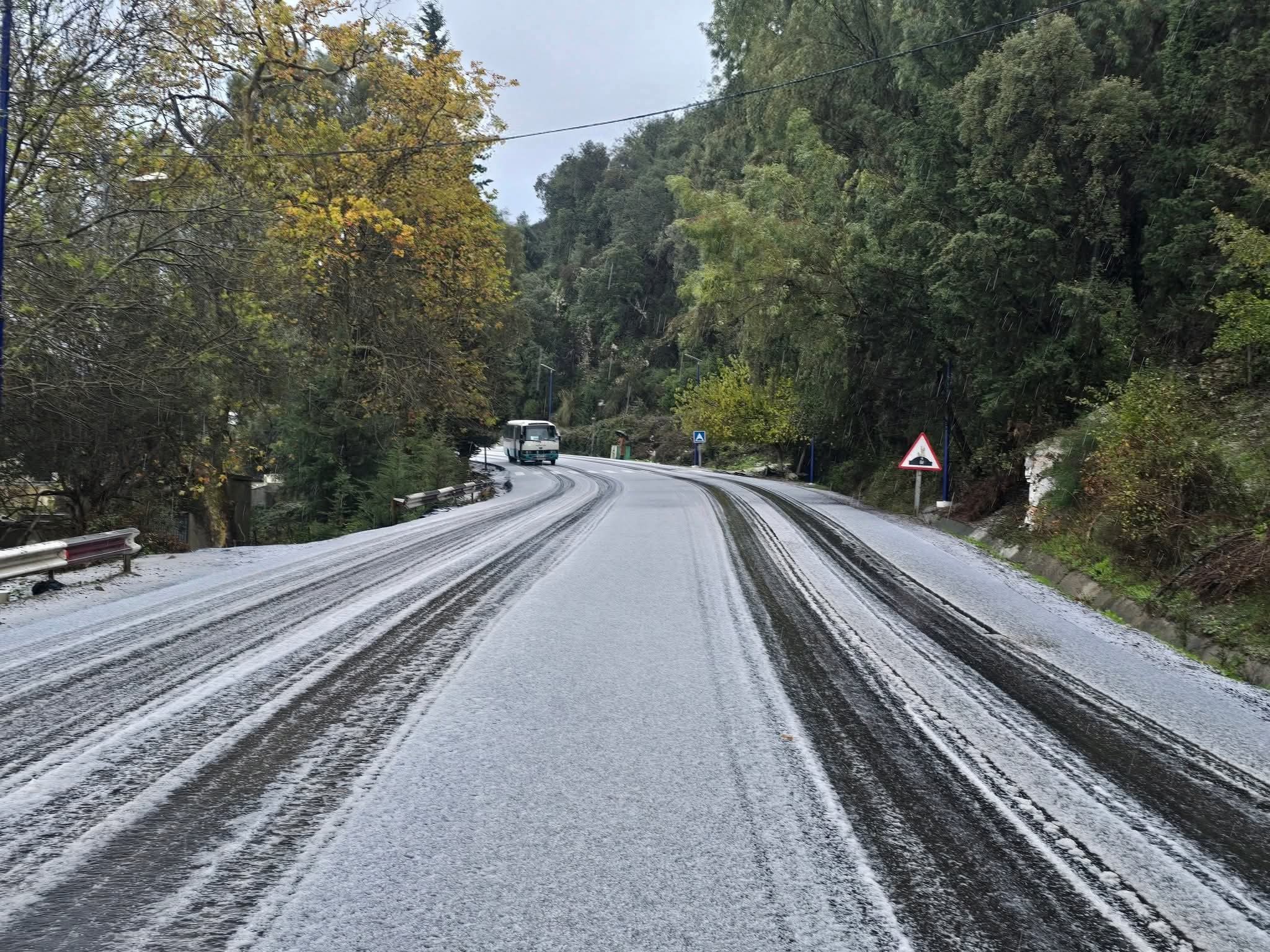 تساقط للثلوج على ولايات بشرق البلاد