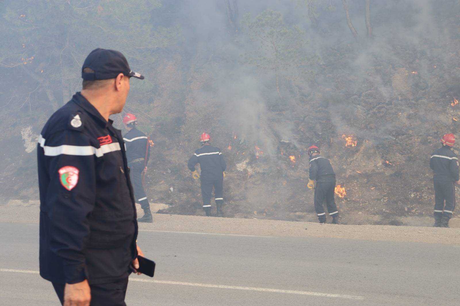 Incendies de forêts à Tipasa : mise en place d’une commission de wilaya pour évaluer les dégâts