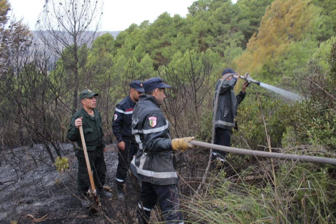 حرائق الغابات بتيبازة