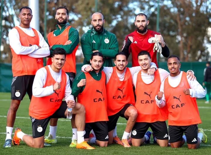 المحاربون عازمون على ترويض الخيول