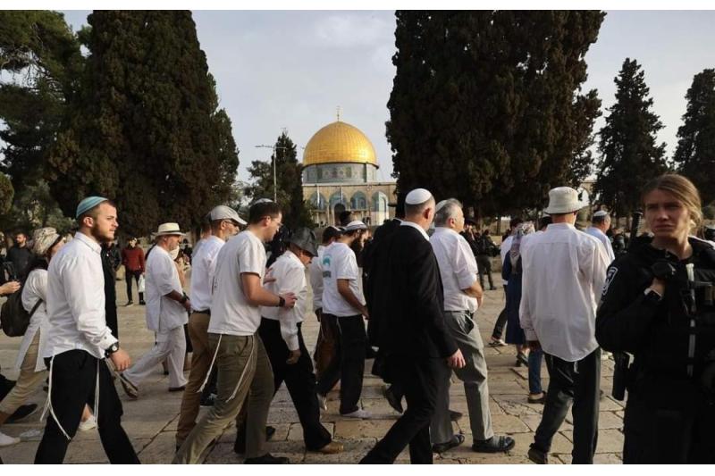 فلسطين : عشرات المستوطنين الصهاينة يقتحمون المسجد الأقصى المبارك