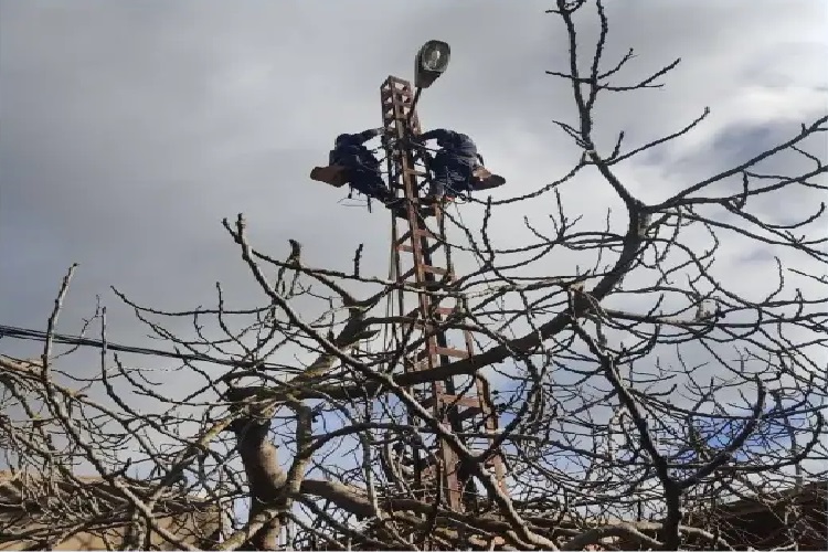 تدخلات متواصلة لرفع مخلّفات الرياح في وسط وغرب الوطن  