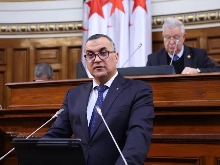 سيد علي زروقي