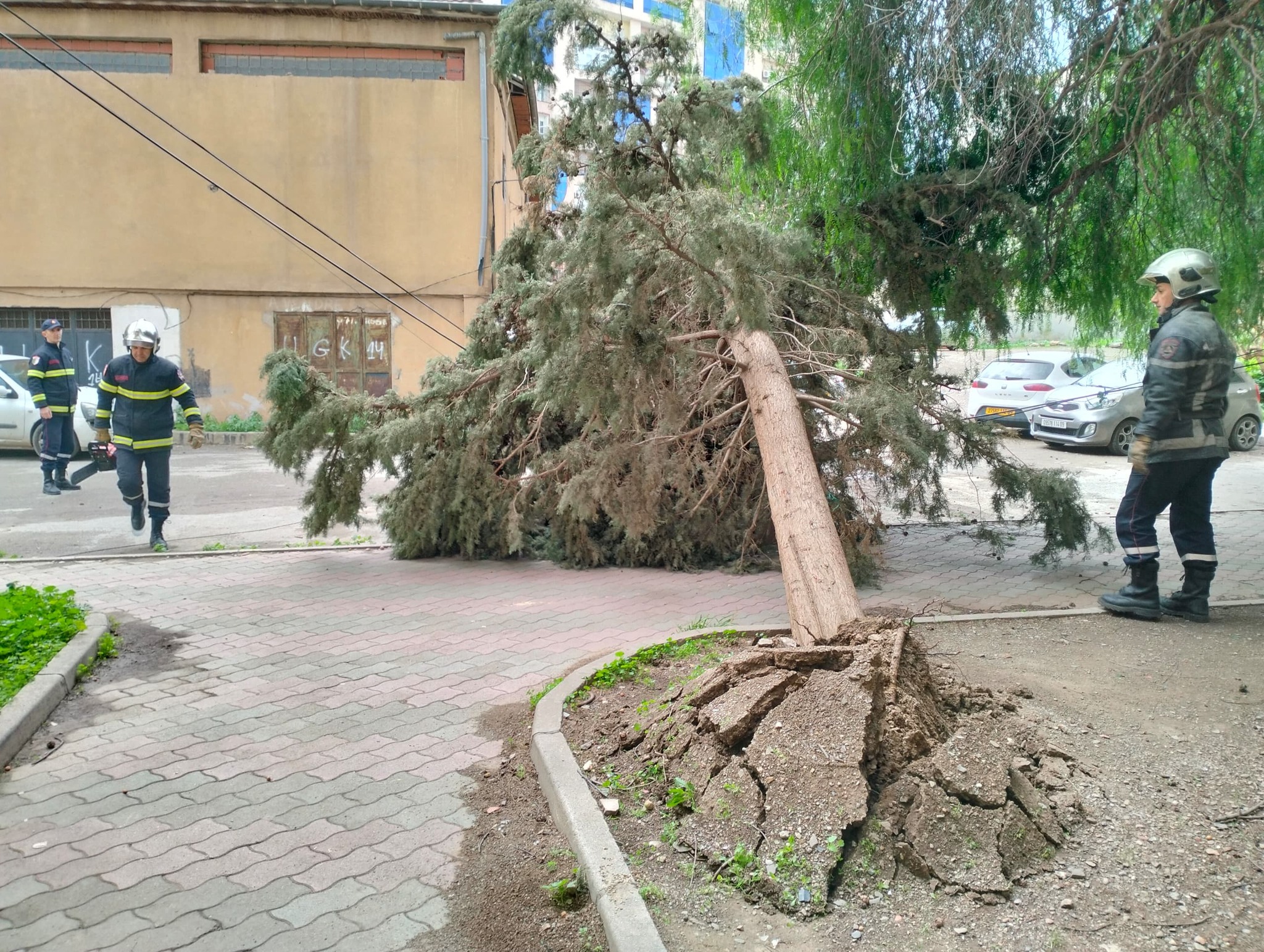 حماية مدنية