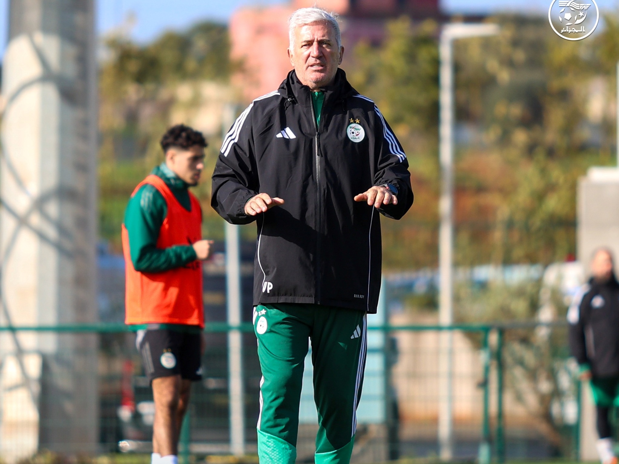 فلاديمير بيتكوفيتش