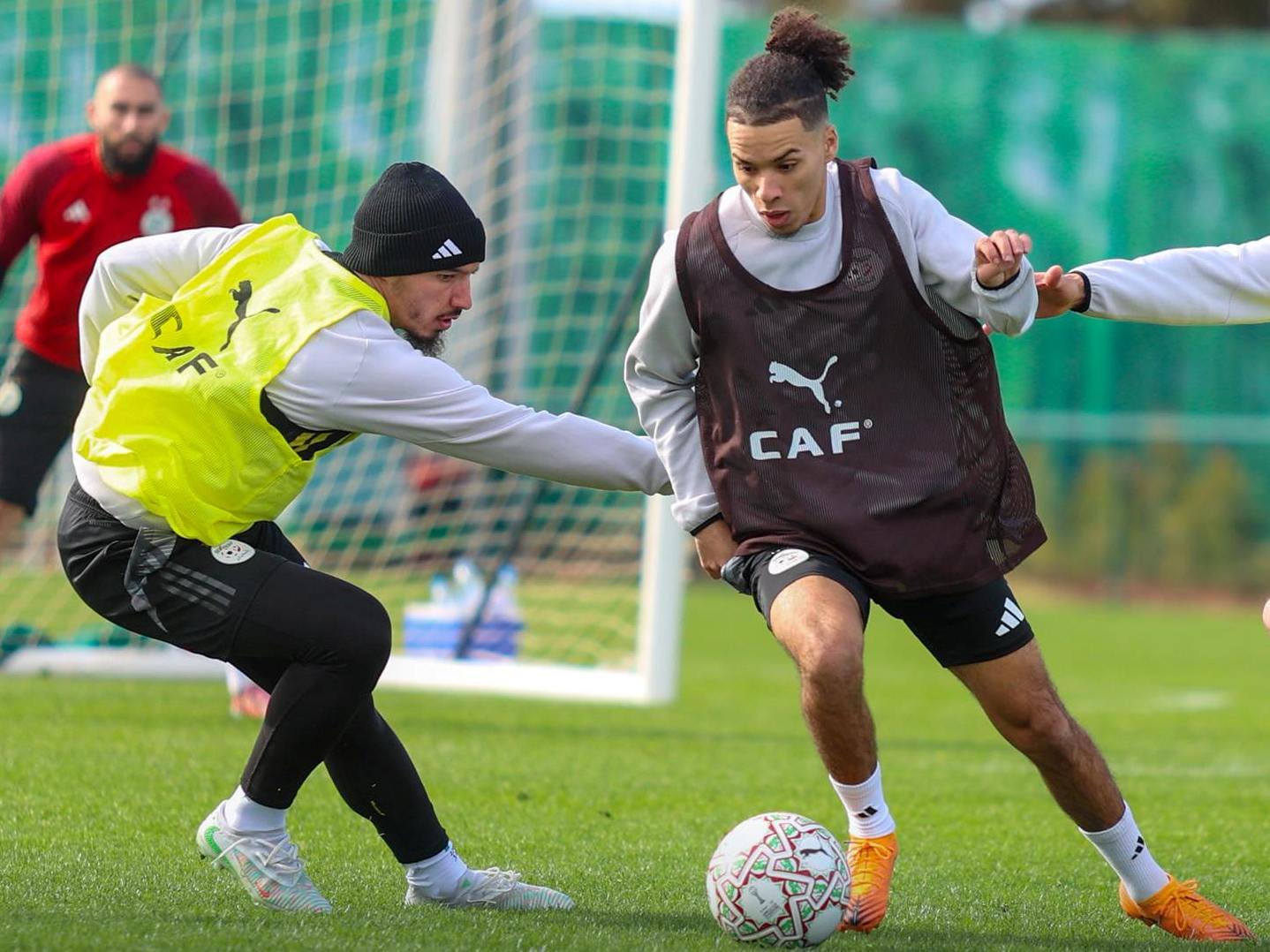 Les Verts reprennent le travail et se projettent sur la RDC