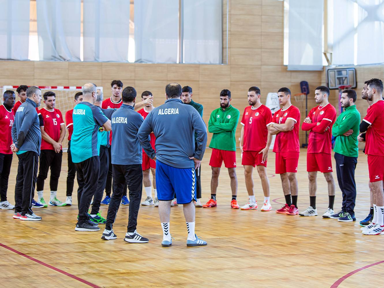 Equipe nationale de handball