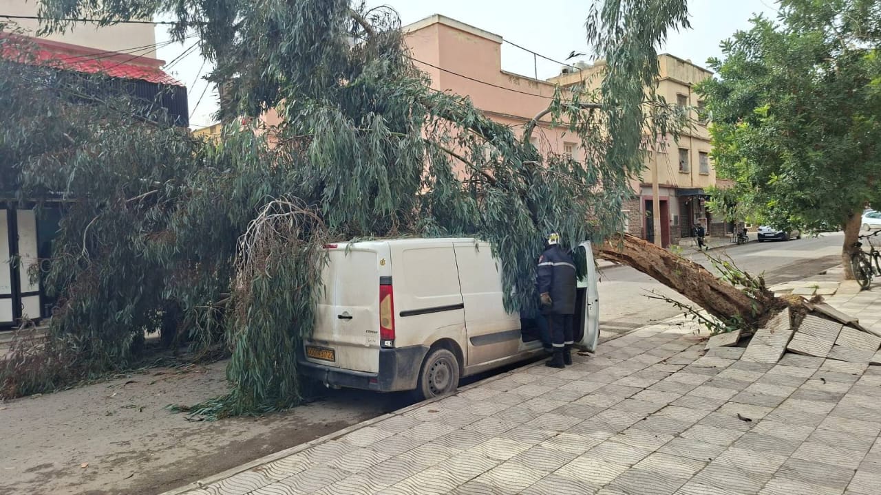 هبوب رياح قوية: عدة تدخلات للحماية المدنية دون تسجيل خسائر (حماية مدنية)