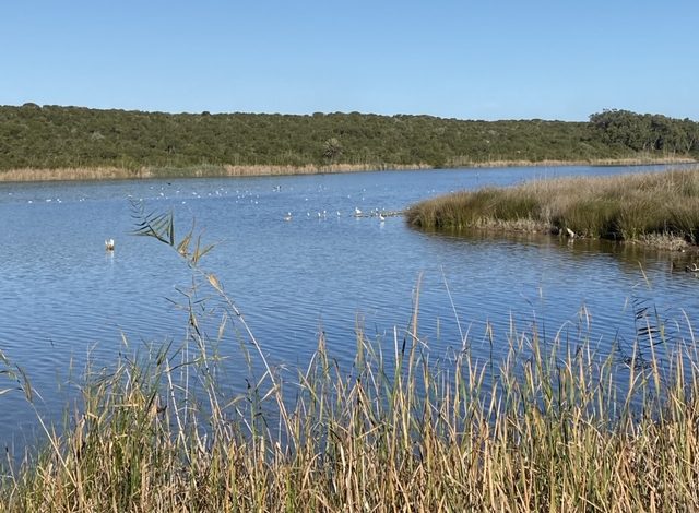 المناطق الرطبة