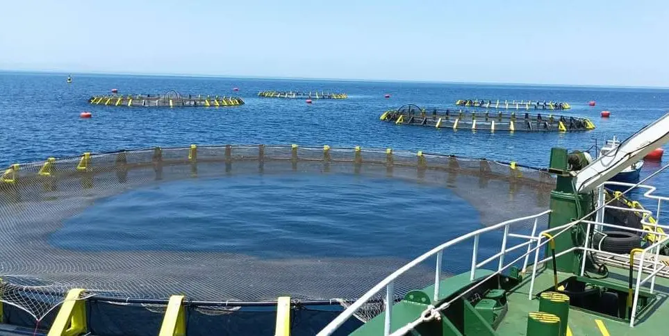 تربية المائيات بالجزائر