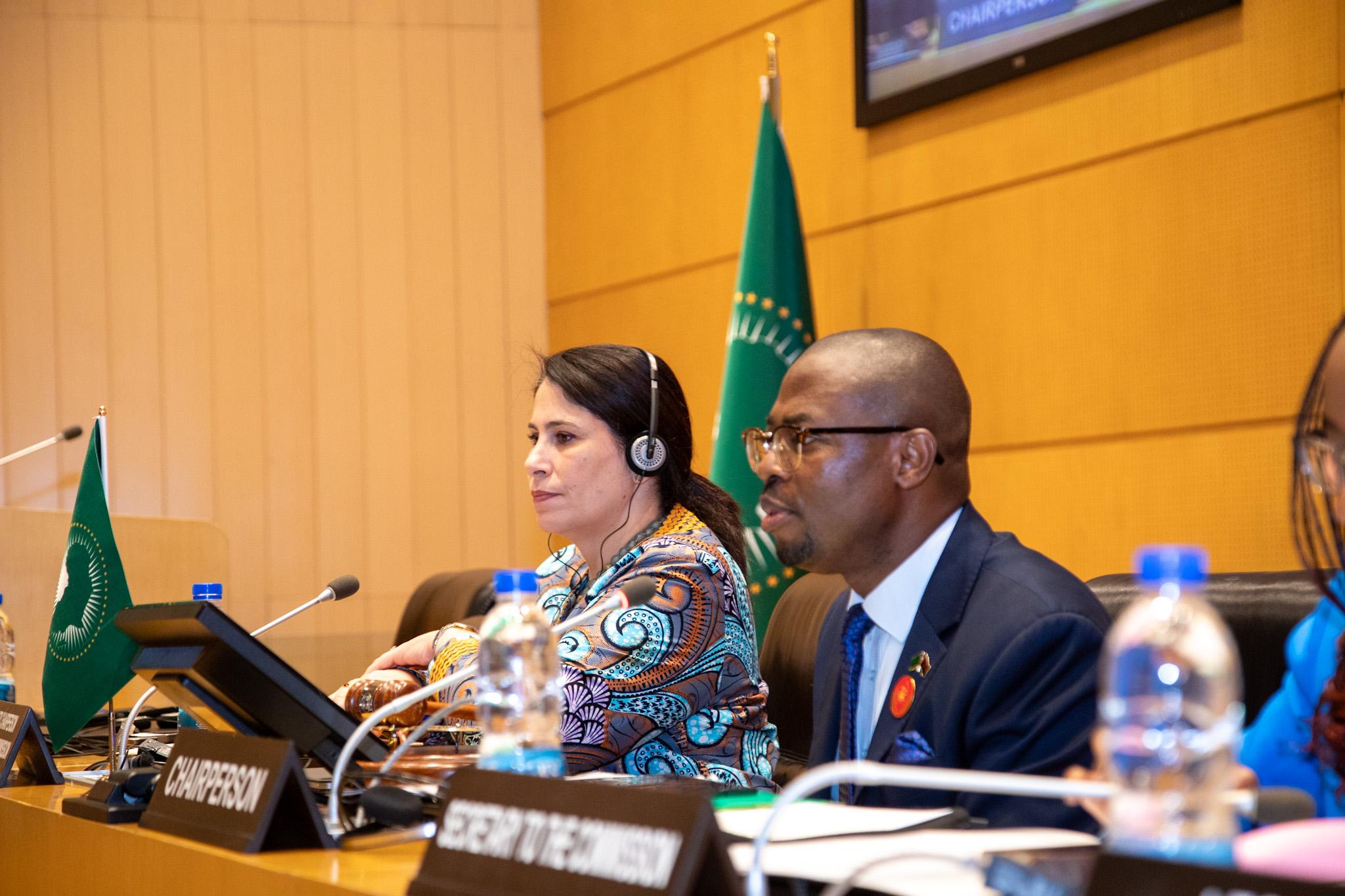 الدورة ال51 للجنة الممثلين الدائمين للاتحاد الإفريقي