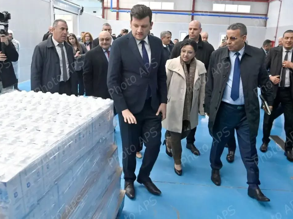 ياسين المهدي وليد