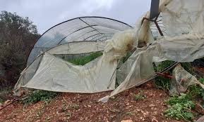 تعويض فلاحين