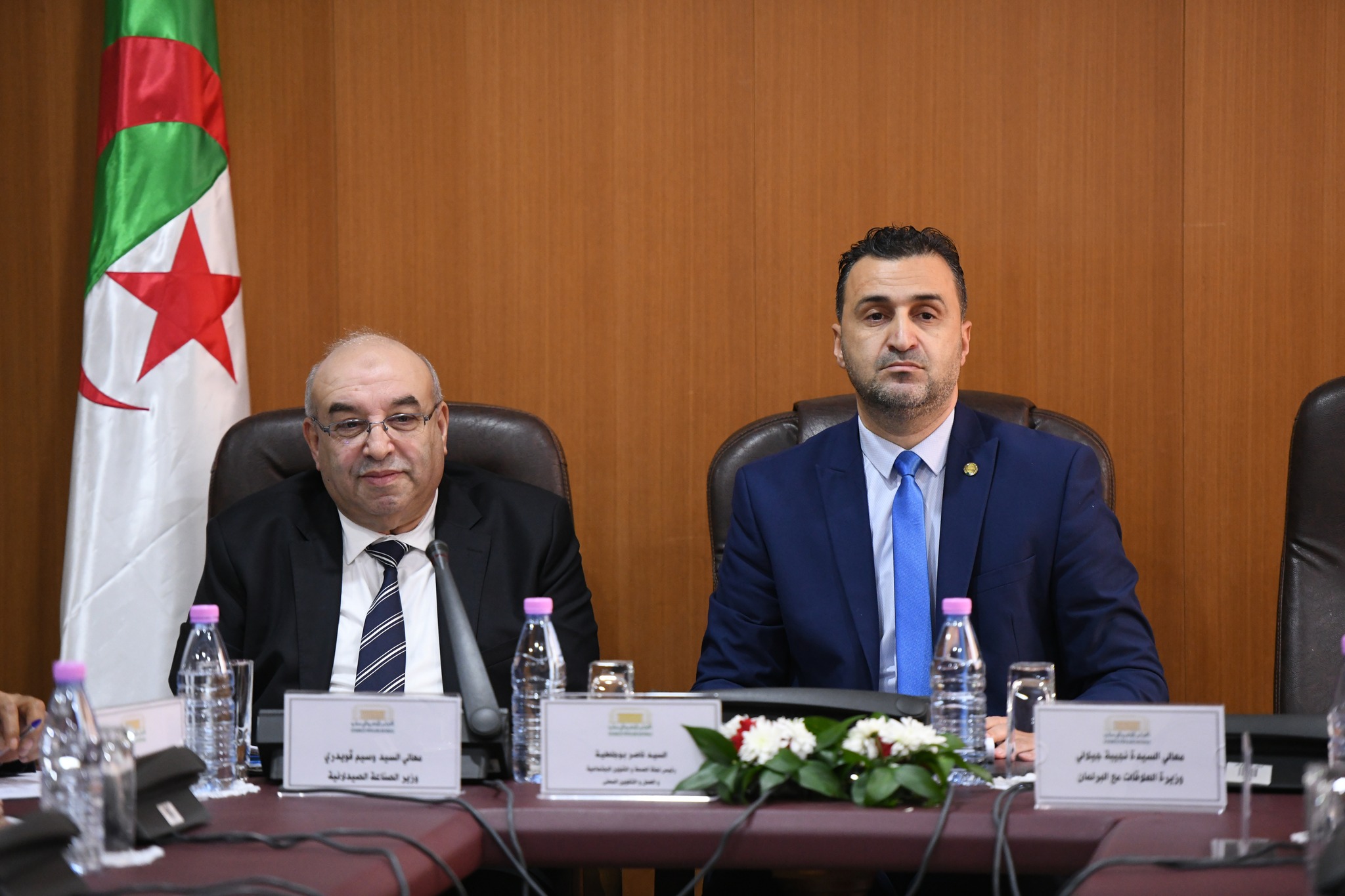 وزارة الصناعة الصيدلانية