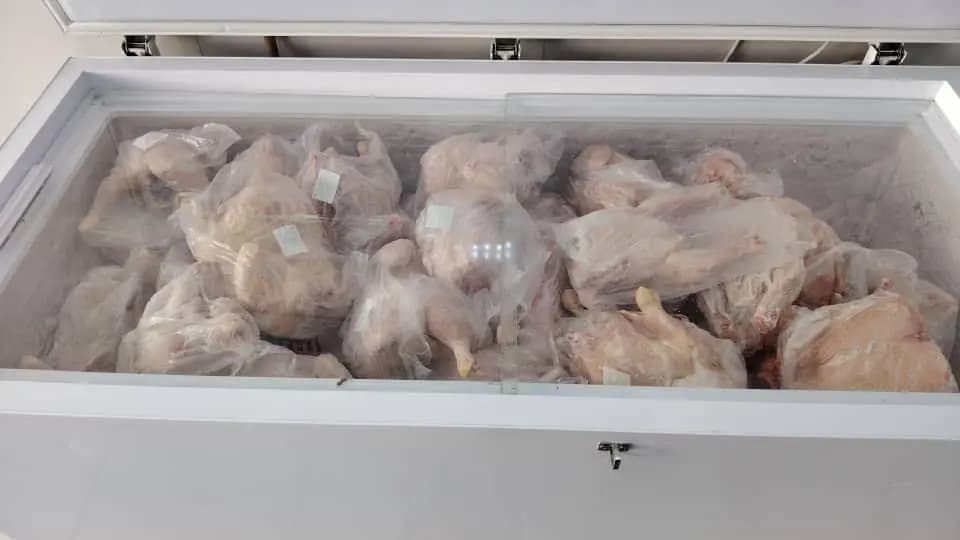Mise en marché progressive d'une quantité importante de poulet  congelé au prix de 330 DA/KG