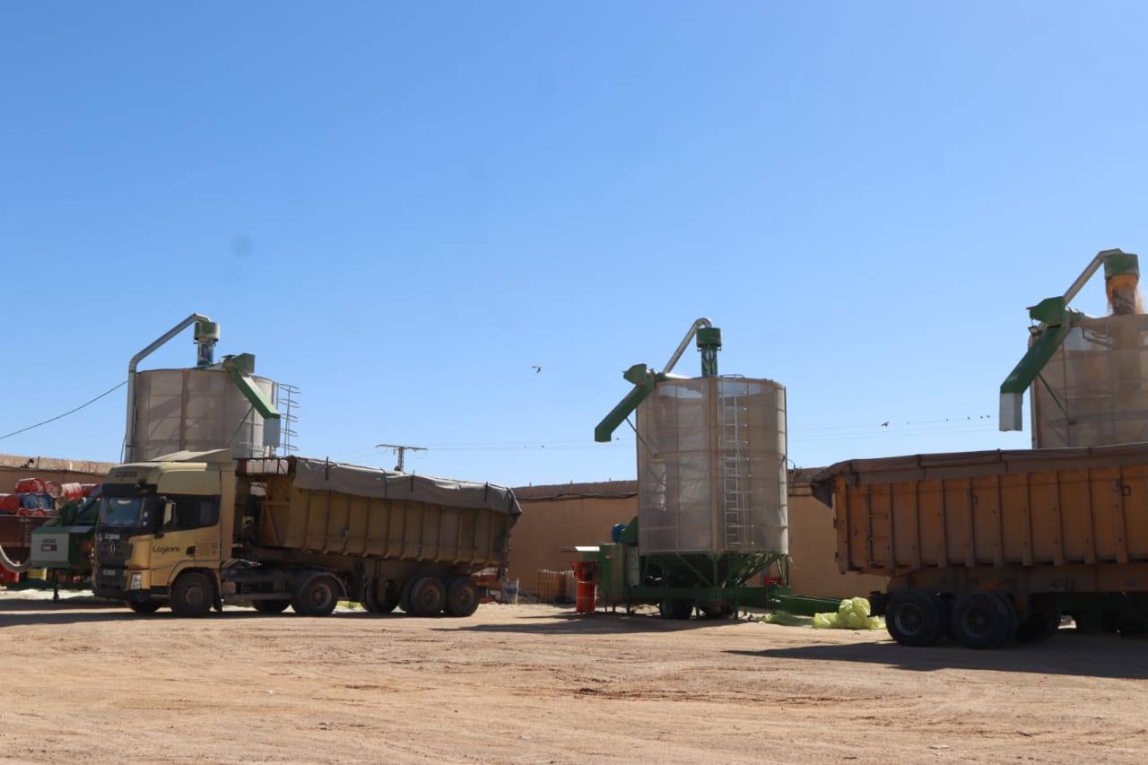 Oualid lance à El-Meniaa un projet de silo céréalier stratégique d’une capacité d’un million de quintaux